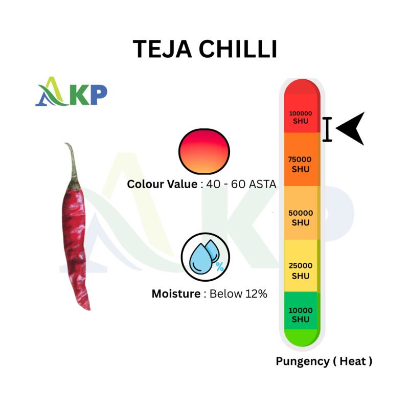 teja Chilli with stem specifications , teja S17 chilli, exporter from Gutur Andra pradesh india