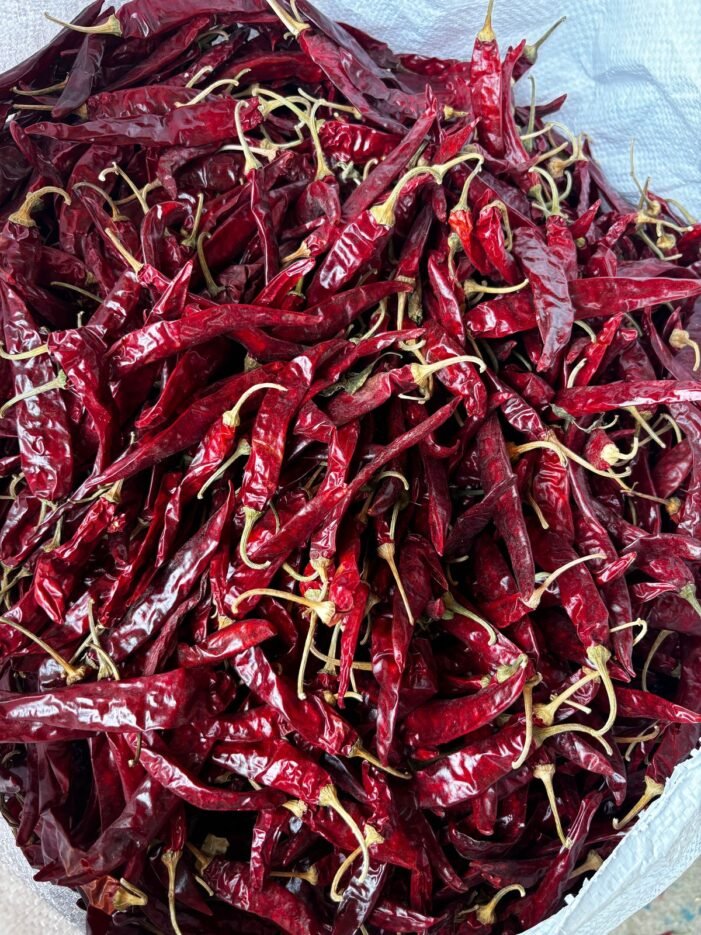 Dabbi chilli - Image 1
