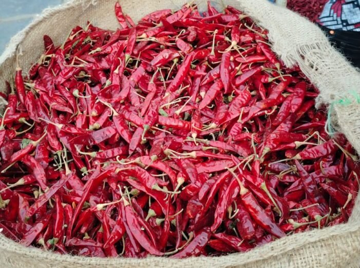 Guntur Sanam Chilli - Image 1