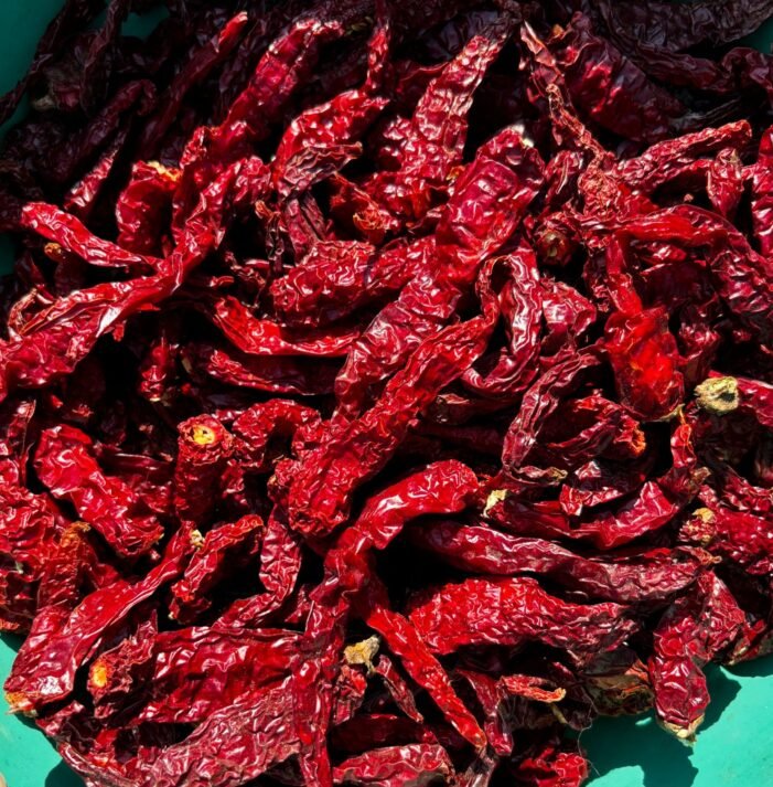 Kashmiri stemless chilli - Image 1