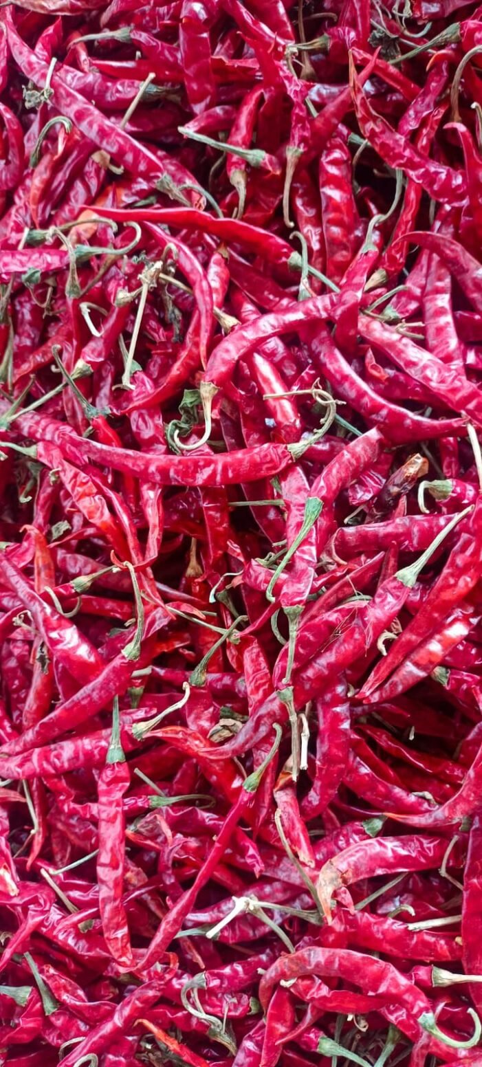 Teja S17 Chilli - Image 1