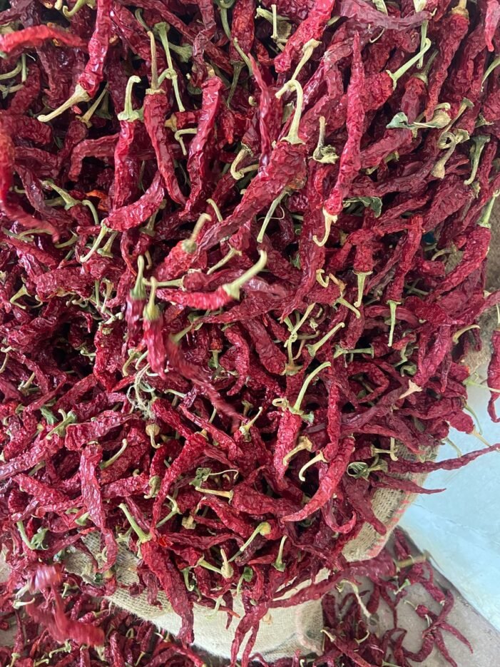 2043 Chilli - Image 1