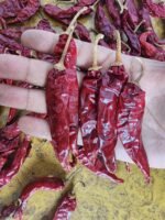 341 Chilli - Image 2