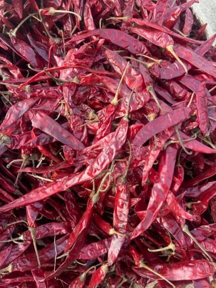 341 chilli deluxe quality