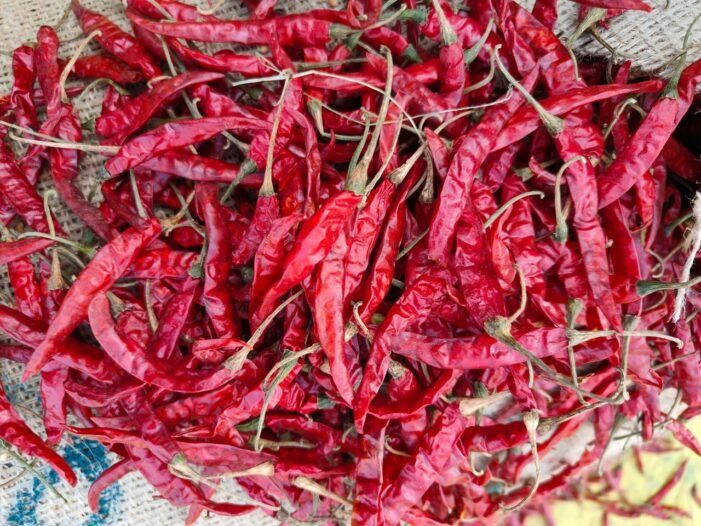 Teja S17 Chilli - Image 5