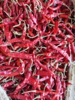Teja S17 Chilli - Image 4