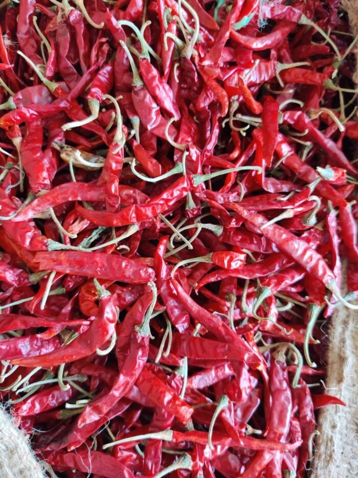 Teja S17 Chilli - Image 4