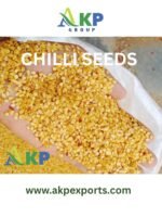 A Grade Chilli seeds - Image 2