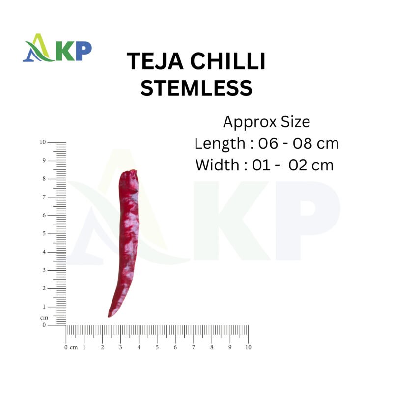 teja stemless chilli size , single teja S17 chili size , pepper , by akp group