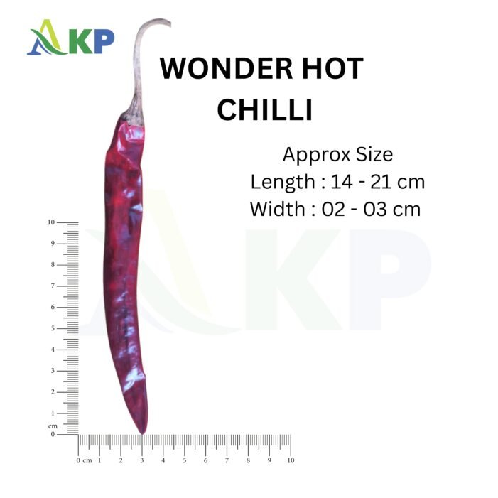 Wonder hot chilli size in cm by akp group