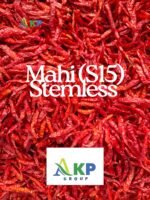 Mahi (S15) Stemless Chilli - Image 3