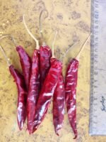 wonder Hot chilli by akp group