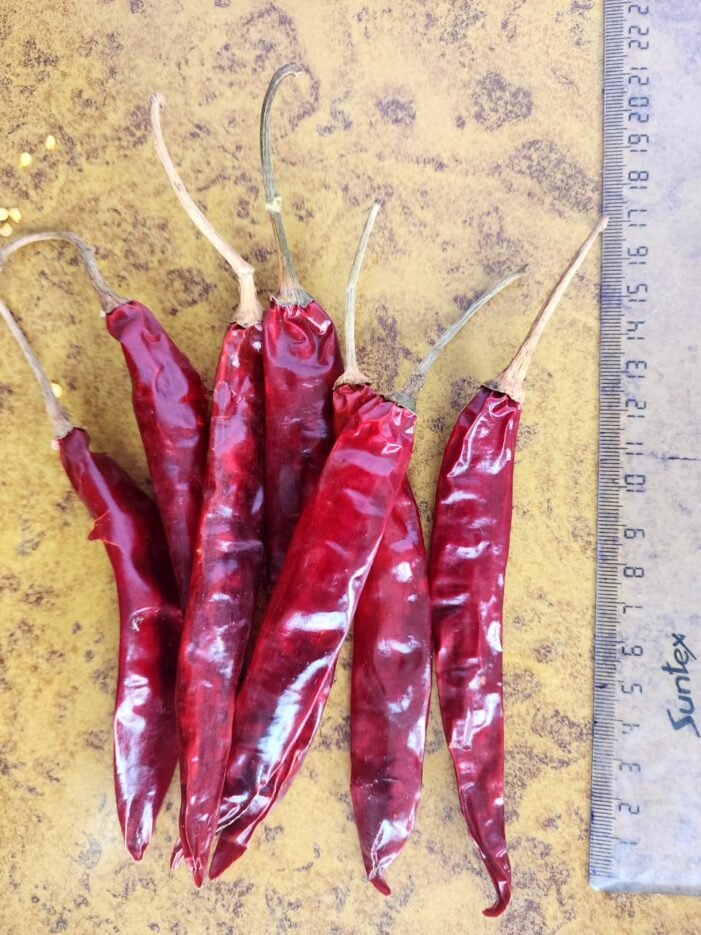 wonder Hot chilli by akp group