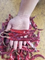 Wonder Hot Chilli - Image 2