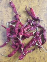 KDL Chilli - Image 6