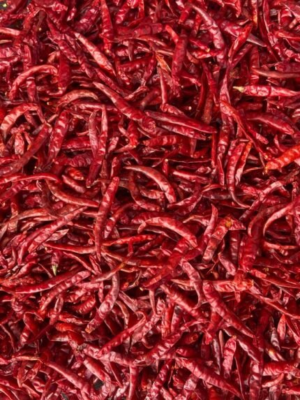 Teja S17 Stemless Chilli by akp exports
