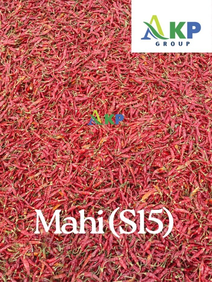 Mahi Chilli (S15) pepper - Image 2