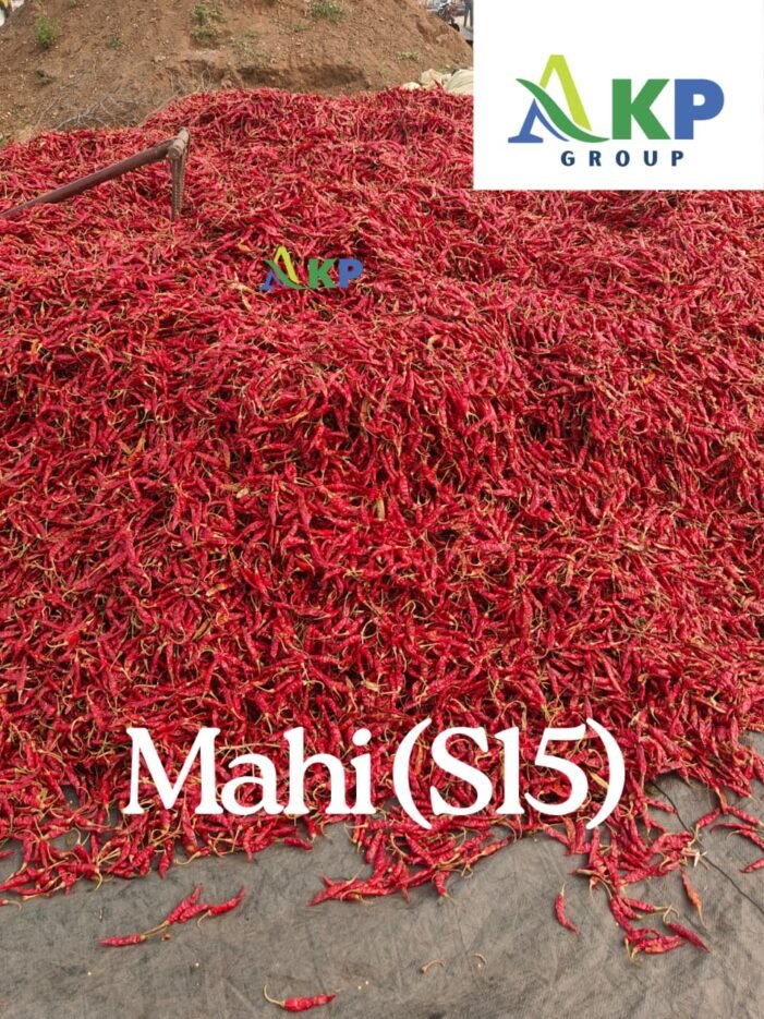 Mahi Chilli (S15) pepper - Image 3