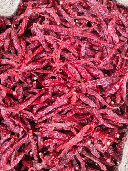 5531 stemless chilli by akp group