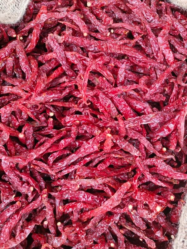 5531 stemless chilli by akp group